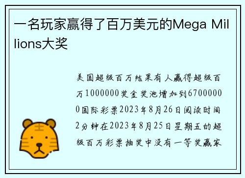 一名玩家赢得了百万美元的Mega Millions大奖 